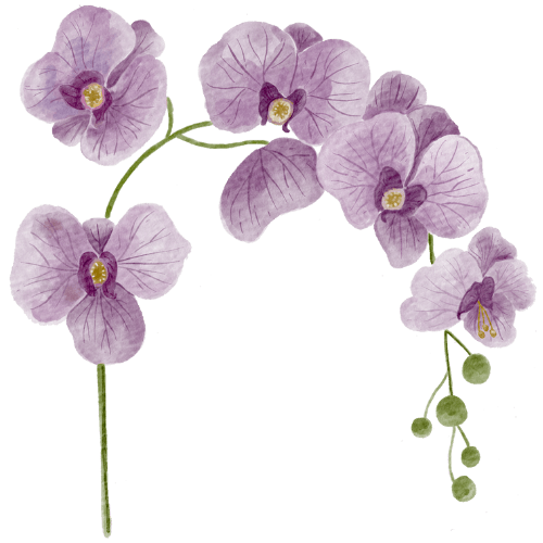 Orchids.png