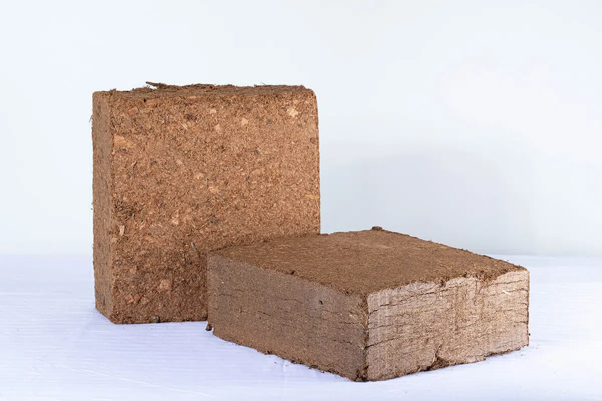 5kg-Block-main.jpg