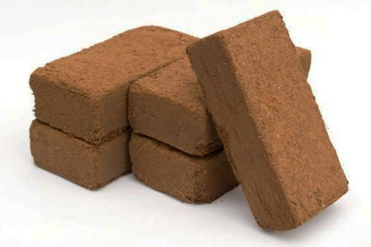briquettes-3-1.jpg